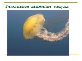 Реактивное движение медузы
