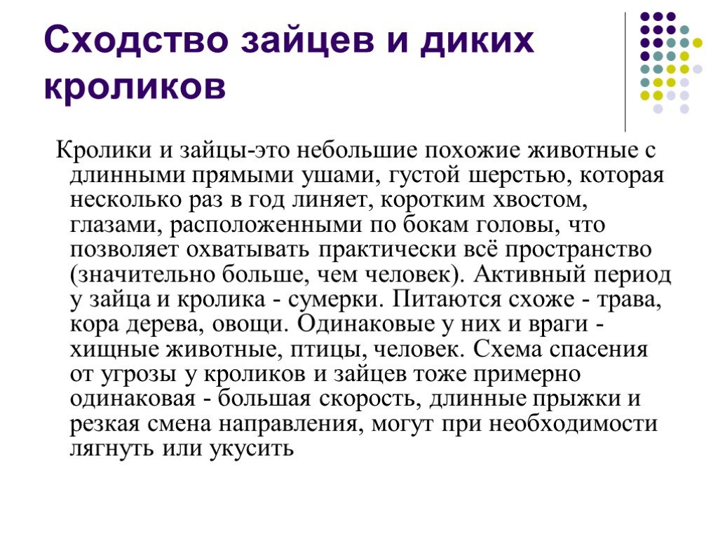 Зайцеобразные доклад. Значение зайцеобразных в природе и жизни человека.