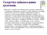 Сходство зайцев и диких кроликов. Кролики и зайцы-это небольшие похожие животные с длинными прямыми ушами, густой шерстью, которая несколько раз в год линяет, коротким хвостом, глазами, расположенными по бокам головы, что позволяет охватывать практически всё пространство (значительно больше, чем чел