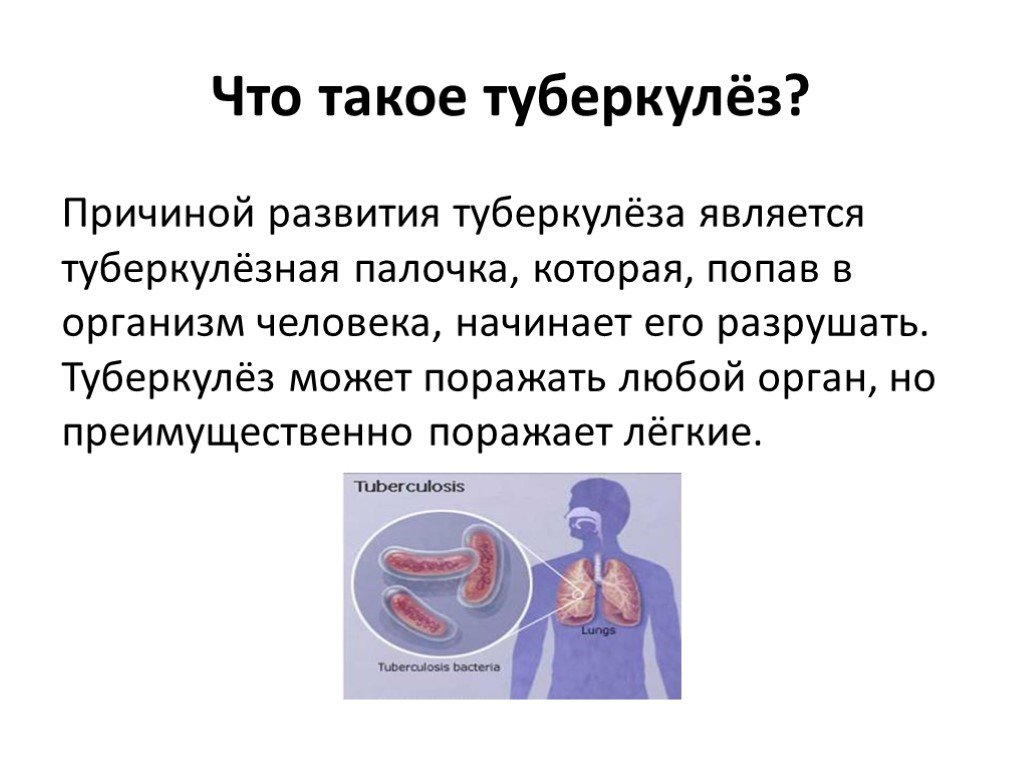 Поражаемые органы туберкулеза. Причины развития туберкулеза. Причинами туберкулеза являются. Причины туберкулеза легких.