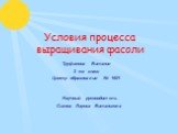 Условия процесса выращивания фасоли. Труфанова Виталия 2 «в» класс Центр образования № 1601. Научный руководитель Сизова Лариса Витальевна