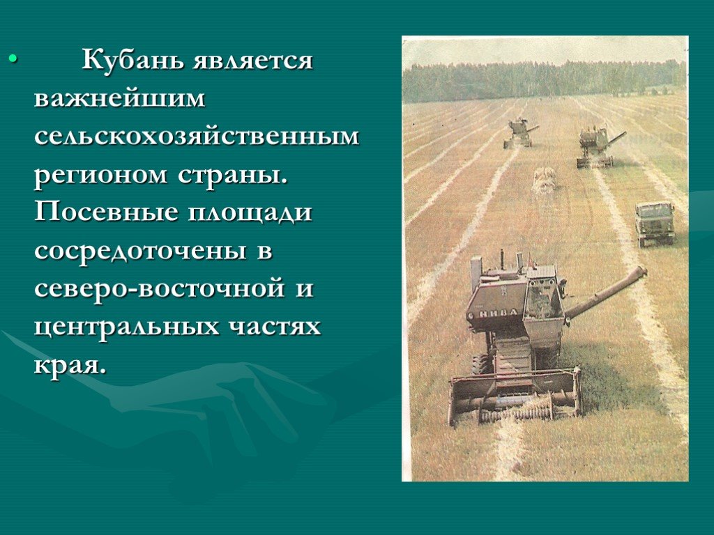 Труд краснодарский край. Особенности Кубани. Труд жителей Кубани. Занятия сельских жителей Кубани. Виды хозяйственной деятельности на Кубани.