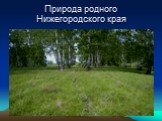 Природа родного Нижегородского края