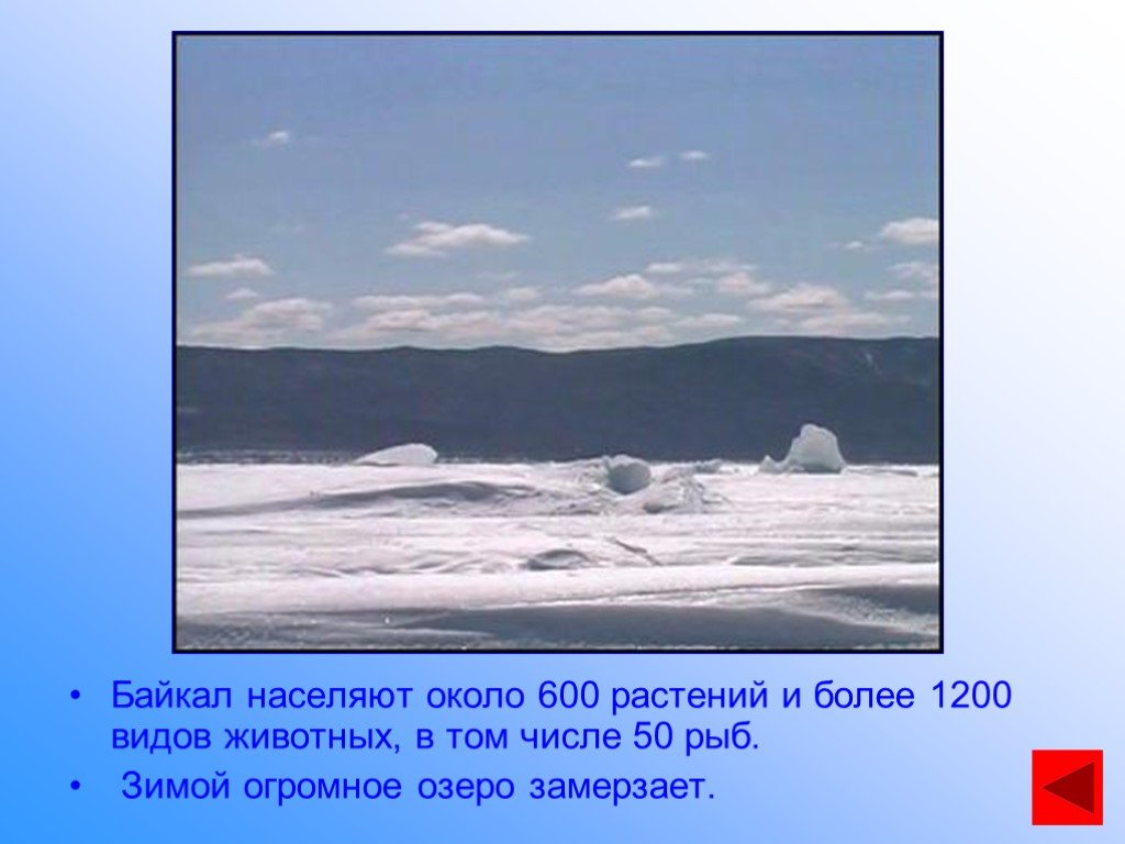Байкал это гигантское озеро его называют. Байкал это гигантское озеро. Зима огромное сообщение. Байкал на глобусе.