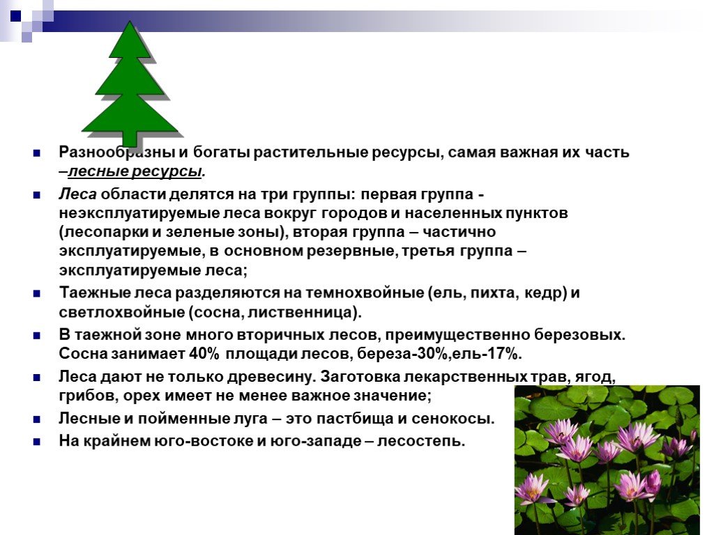 Три группы лесов. Растительные ресурсы. Ресурсы Свердловской области. Богат растение.