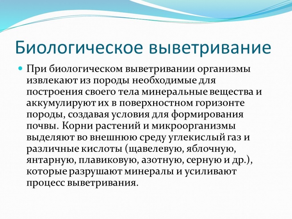 Биологическое выветривание горных пород. Биологическое выветривание. Деятельность человека выветривание.