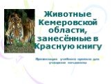 Животные Кемеровской области, занесённые в Красную книгу. Презентация учебного проекта для учащихся нач.школы