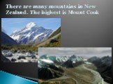 There are many mountains in New Zealand. The highest is Mount Cook