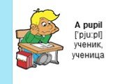 A pupil [’pju:pl] ученик, ученица