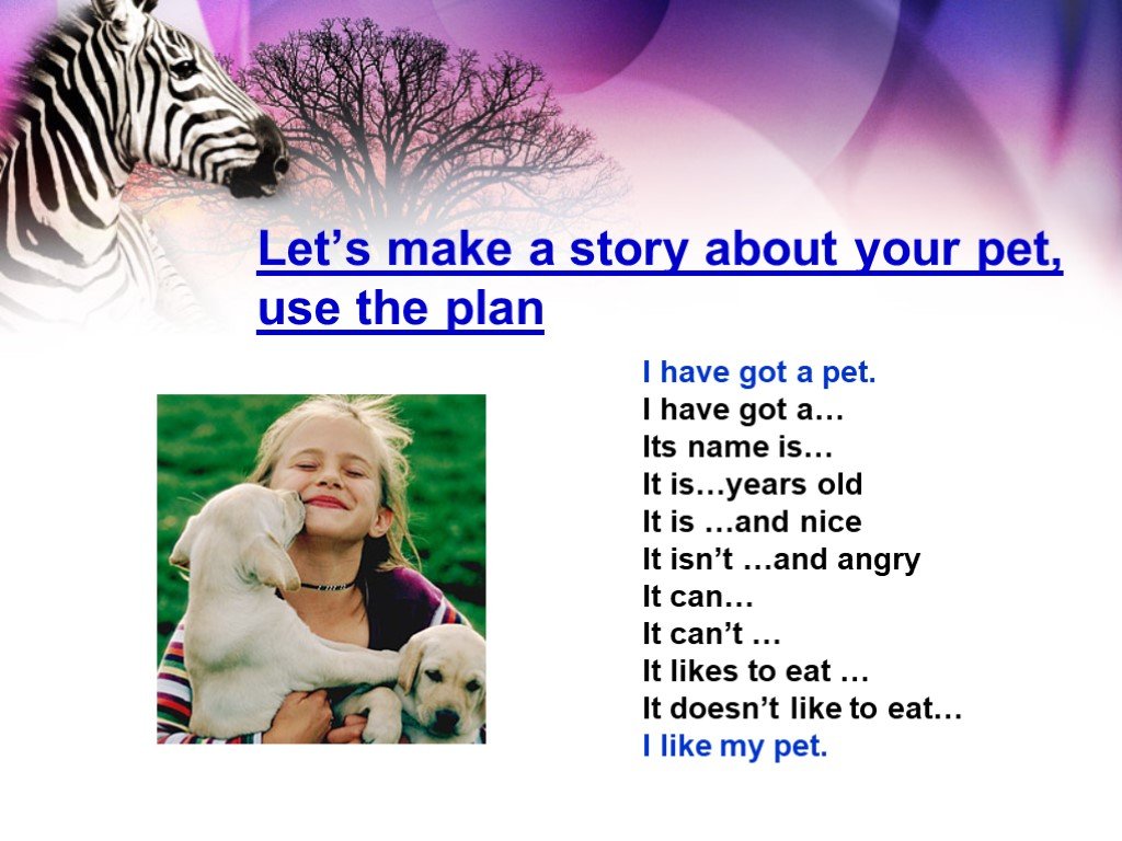 Give a talk about pets. I have got a Pet рассказ. Story about my Pet. Let's speak about Pets. Speaking about Pets.