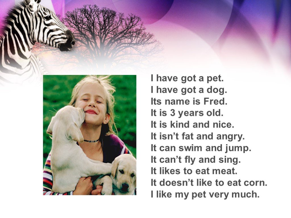 My pet dog has a. Проект по английскому my Pet. Проект про собаку на английском языке. Рассказ про собаку на английском. I have got a Pet рассказ.