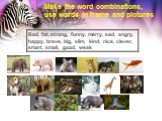Make the word combinations, use words in frame and pictures