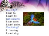Can it fly? It can fly. It can’t fly. Can it swim? It can swim. It can’t swim. Can it sing? It can sing. It can’t sing.