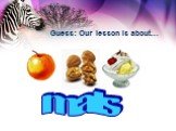 Guess: Our lesson is about… mals