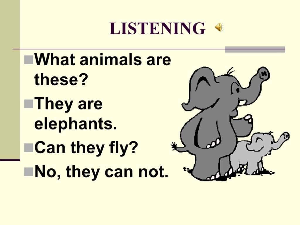 Can an elephant jump. What can animals do. They are animals. Are they Dogs? No, they aren't. Can or can't an Elephant can.