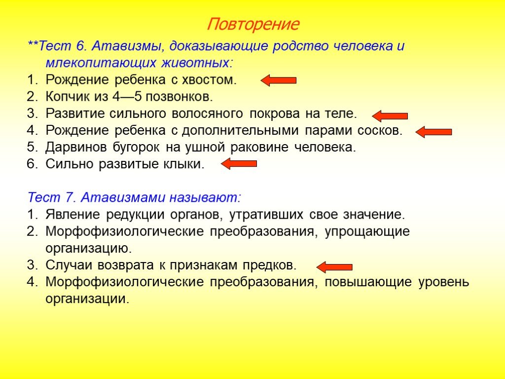 Сходство человека и млекопитающих свидетельствует об их родстве и общем плане строения