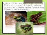 Двадцать четыре новых вида ядовитых лягушек было открыто на амазонке в период с 1999 по 2009 годы. Эта, Амеерега Пеппери, впервые была замечена в Перу в 2009-м году.