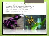 Лягушка-арлекин. Нео-тропическая, раньше была распространена в Коста-Рике .На сегодняшний день лягушки этого вида обитают преимущественно в Панаме.