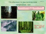 Особенности расположения природных зон. Влажные тропические леса Африки и Южной Америки. Прочтите вслух об этой природной зоне (стр.107). Слайд 16