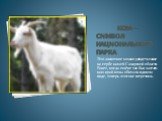 Коза – символ национального парка. Это животное можно увидеть также на гербе нашей Самарской области. Ранее, когда ещё не так был заселен наш край козы обитали в диком виде, теперь этого не встретишь.