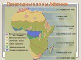 Природные зоны Африки Слайд: 5