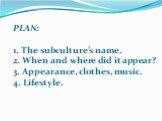 PLAN: 1. The subculture’s name. 2. When and where did it appear? 3. Appearance, clothes, music. 4. Lifestyle.