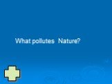 What pollutes Nature?