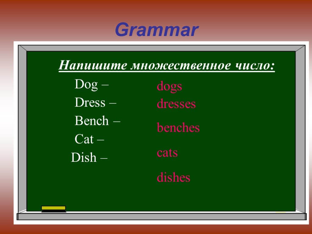 Напишите форму. Dress множественное число. Bench множественное число. Dress во множественном числе на английском. Bench во множественном числе на английском.