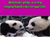 Animals play a very important role in our life
