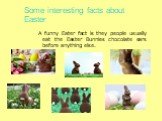 Some interesting facts about Easter. A funny Eater fact is they people usually eat the Easter Bunnies chocolate ears before anything else.