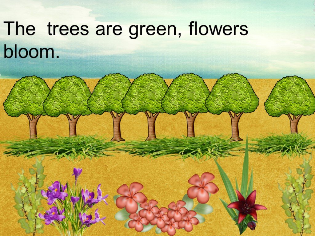 This is tree tree is green. Trees are Green. The Trees was или were Green. The Tree is in Bloom. Being Green.