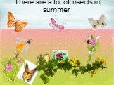 There are a lot of insects in summer.