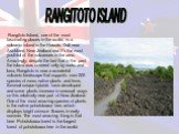 RANGITOTO ISLAND. Rangitoto Island, one of the most fascinating places in the world, is a volcanic island in the Hauraki Gulf near Auckland, New Zealand and it’s the most youthful of the volcanoes in the area. Amazingly, despite the fact that in the past the island was covered only by rocks and lava