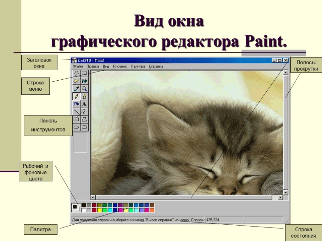Практическая работа векторные графические редакторы. Окно графического редактора. Интерфейс графических редакторов. Интерфейс и основные возможности графических редакторов. Растровый графический редактор Paint.