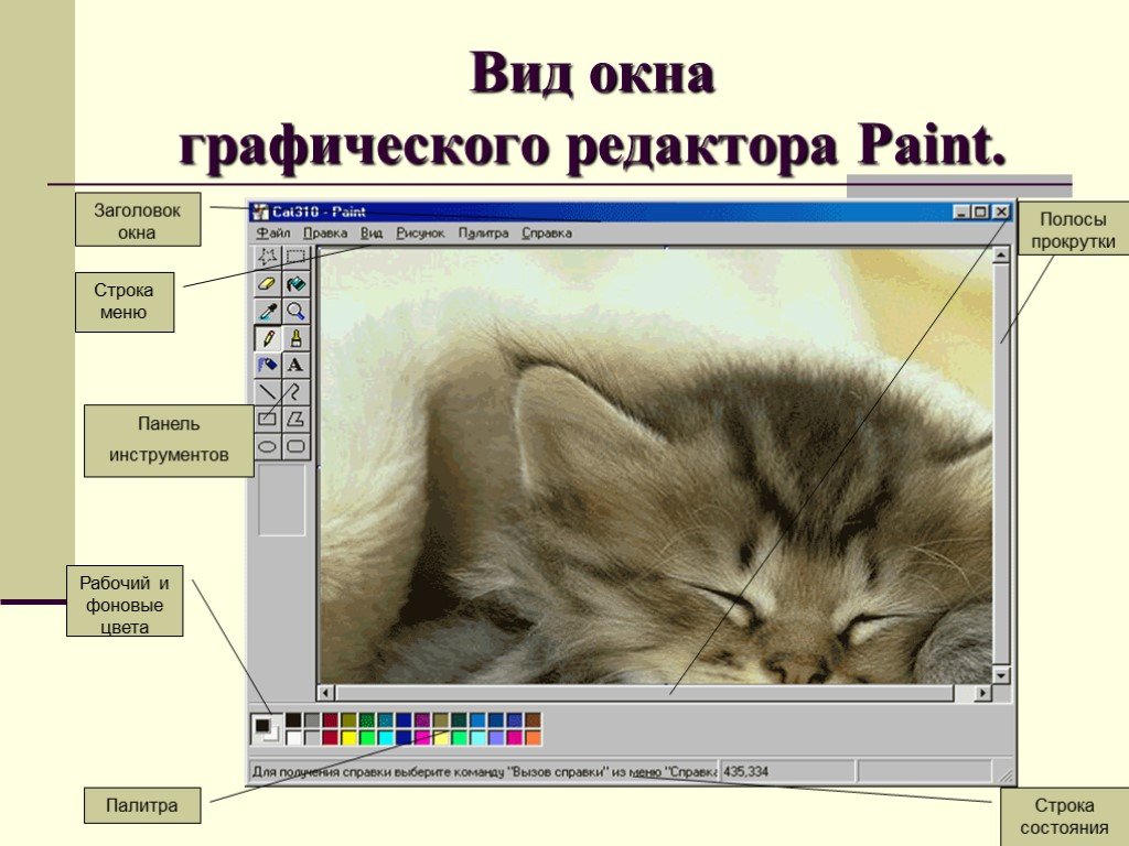 Paint вид редактора. Виды графических редакторов. Редакторы обработки графической информации. Презентация на тему графические редакторы. Применение графических редакторов.