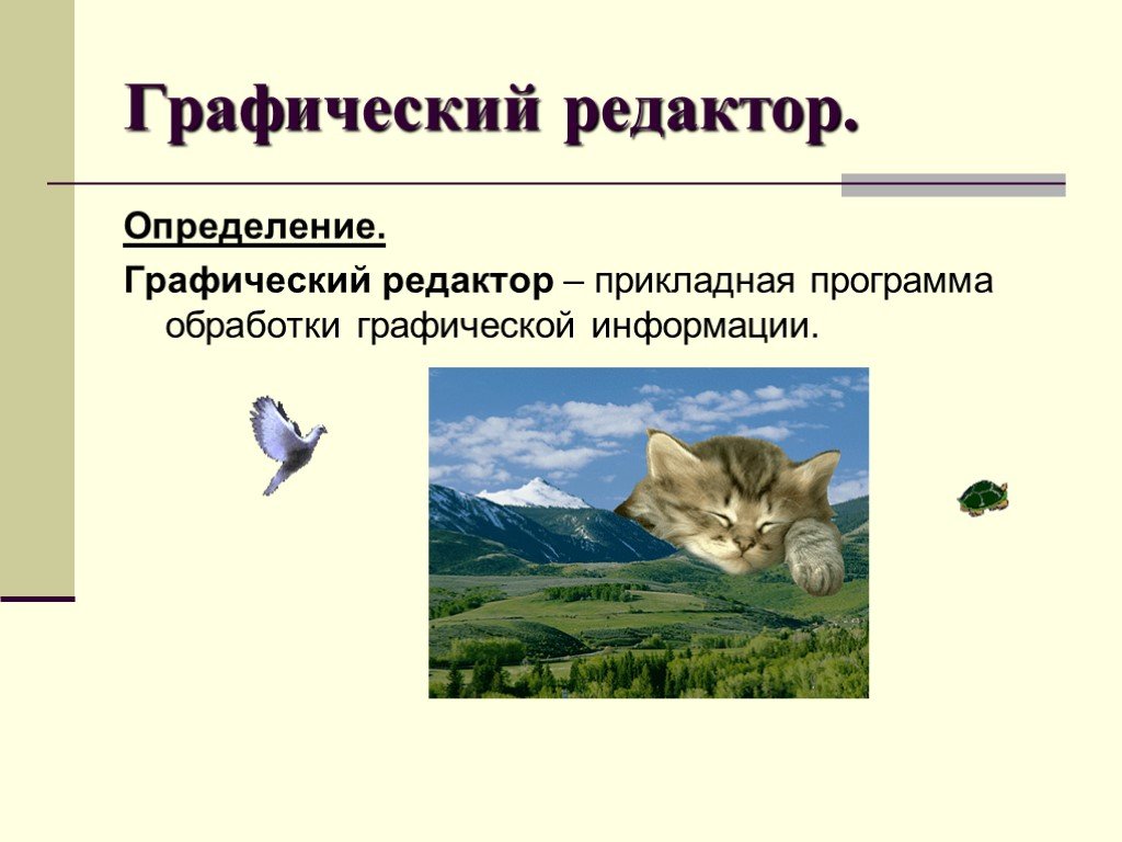 Презентация на тему технология обработки графической информации