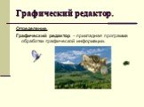 Графический редактор. Определение. Графический редактор – прикладная программа обработки графической информации.