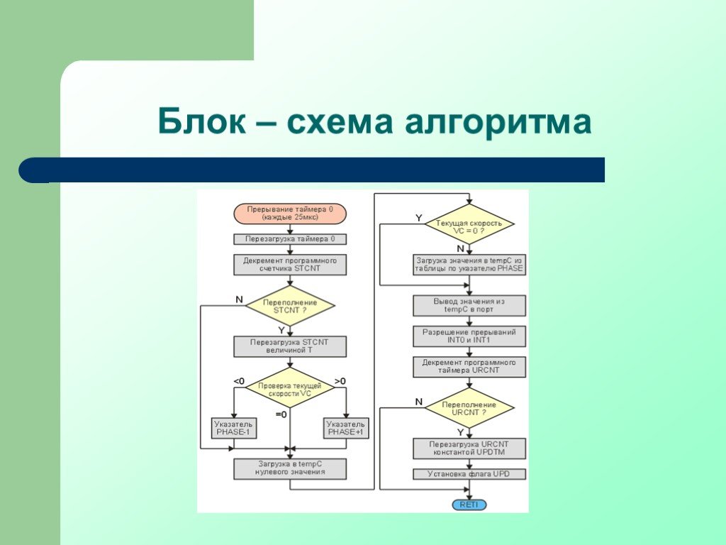 Блок схема по биологии