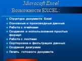 Возможности EXCEL: Структура документа Excel Основные и производные данные Работа с ячейками Создание и использование простых формул Работа с листами Сортировка и фильтрация данных Создание диаграмм Печать готового документа. Microsoft Excel