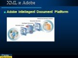 XML и Adobe. Adobe Intellegent Document Platform