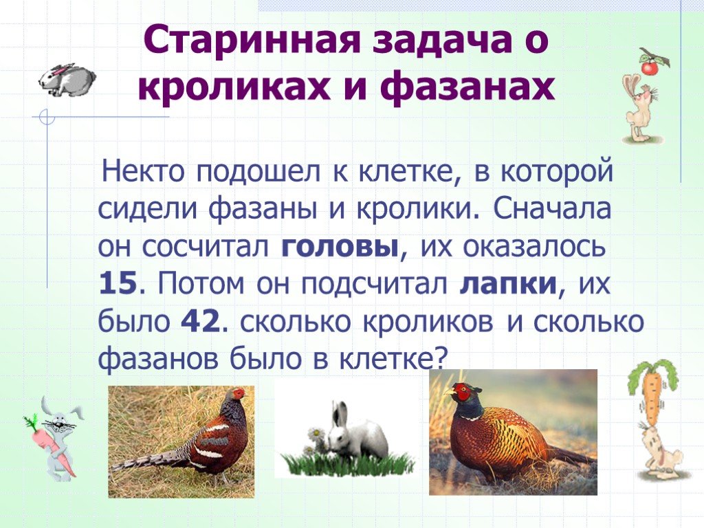 Сколько сидят фазаны. Фазаны и кролики. Задача про фазанов и кроликов решение. Сообщение о фазане.