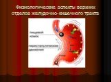 Физиологические аспекты верхних отделов желудочно-кишечного тракта