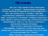 Патогенез. Для того чтобы развился ЭАА, необходимо глубокое – до альвеол – проникновение аллергенов. Поэтому величина аллергенов не должна превышать 5 мкм, они должны быть устойчивы к действию лизосомальных ферментов, экспозиция их (контакт с ними) должна быть длительной. Аллерген должен быть предст