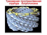 Трехмерная пространственная структура ботулотоксина