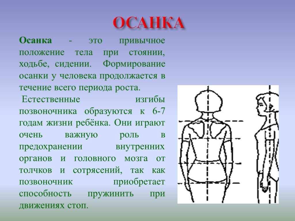 Положение тела 4. Осанка. Осанка человека. Правильная осанка. Презентация на тему осанка.