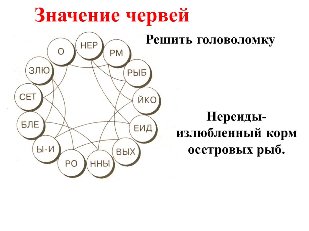 Значение червей. Значение червя решить головоломку. Реши головоломку.