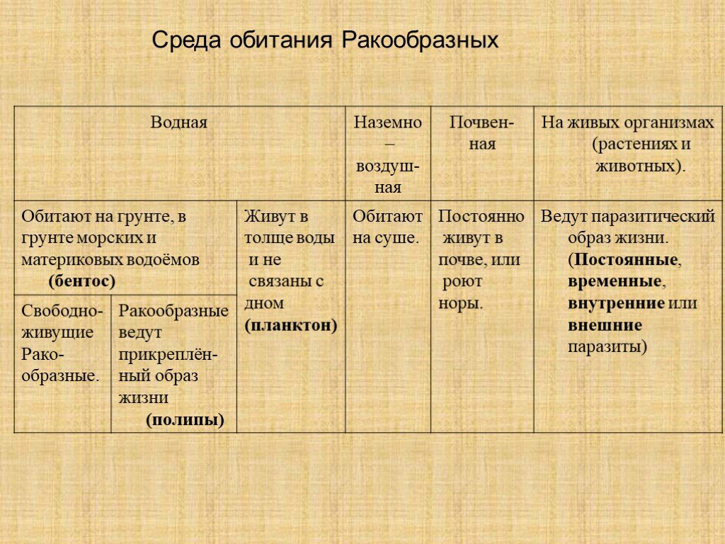 Таблица ракообразные. Ракообразные среда обитания таблица. Класс ракообразные среда обитания. Среды жизни ракообразных. Среда обитания и образ жизни ракообразных.