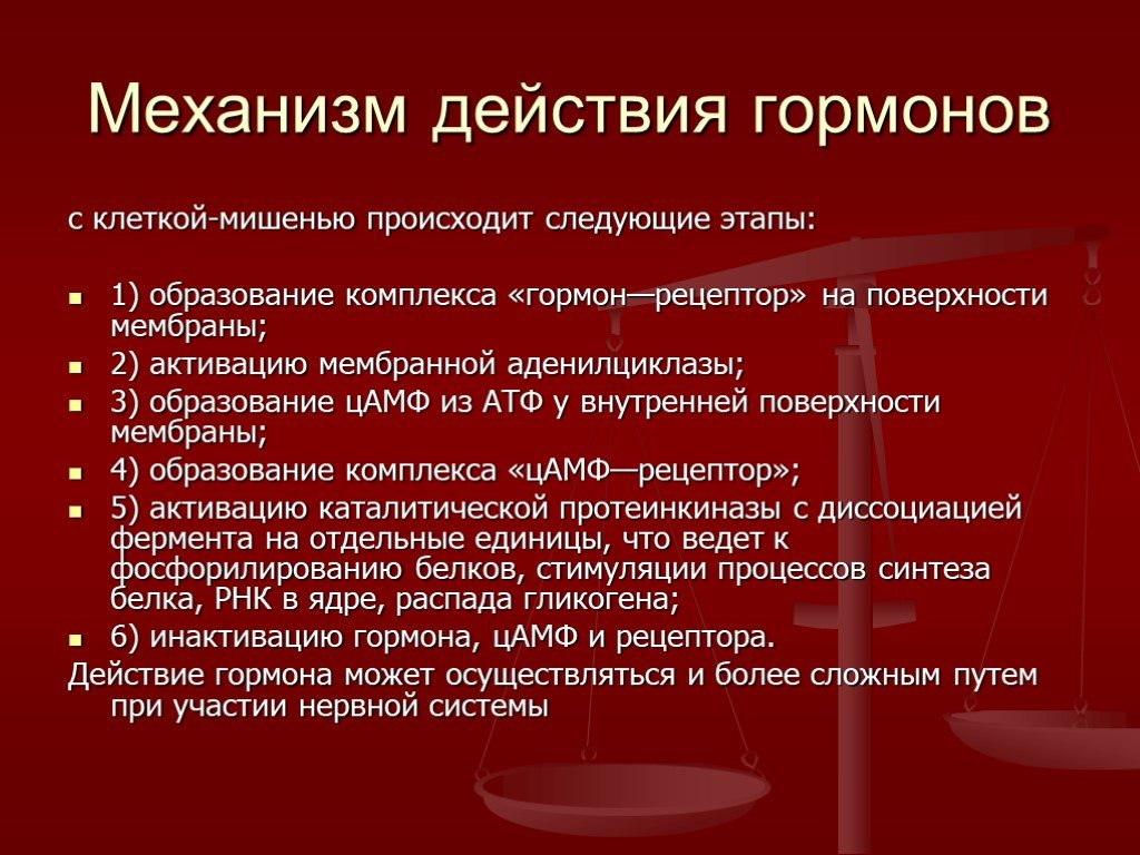 Действие гормонов. Механизмы действия гормонов на клетки-мишени. Механизм действия гормонов. Механизм действия кромонов.