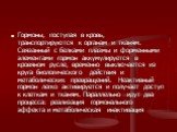 Гормоны, поступая в кровь, транспортируются к органам и тканям. Связанный с белками плазмы и форменными элементами гормон аккумулируется в кровяном русле, временно выключается из круга биологического действия и метаболических превращений. Неактивный гормон легко активируется и получает доступ к клет