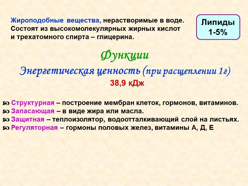 Высокомолекулярные вещества клетки